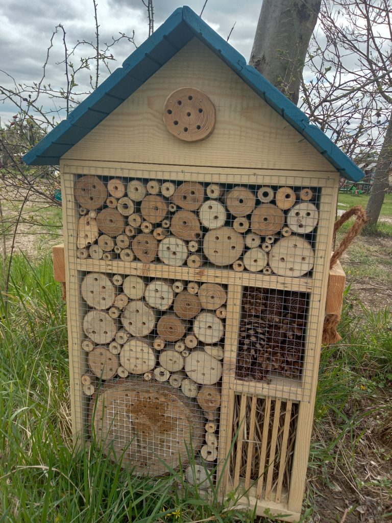 W naszym ogrodzie nie może zabraknąć pszczół. To one zapylą kwiaty, aby z nich powstały owoce. A gdzie taka pszczoła mieszka? W ulu?
