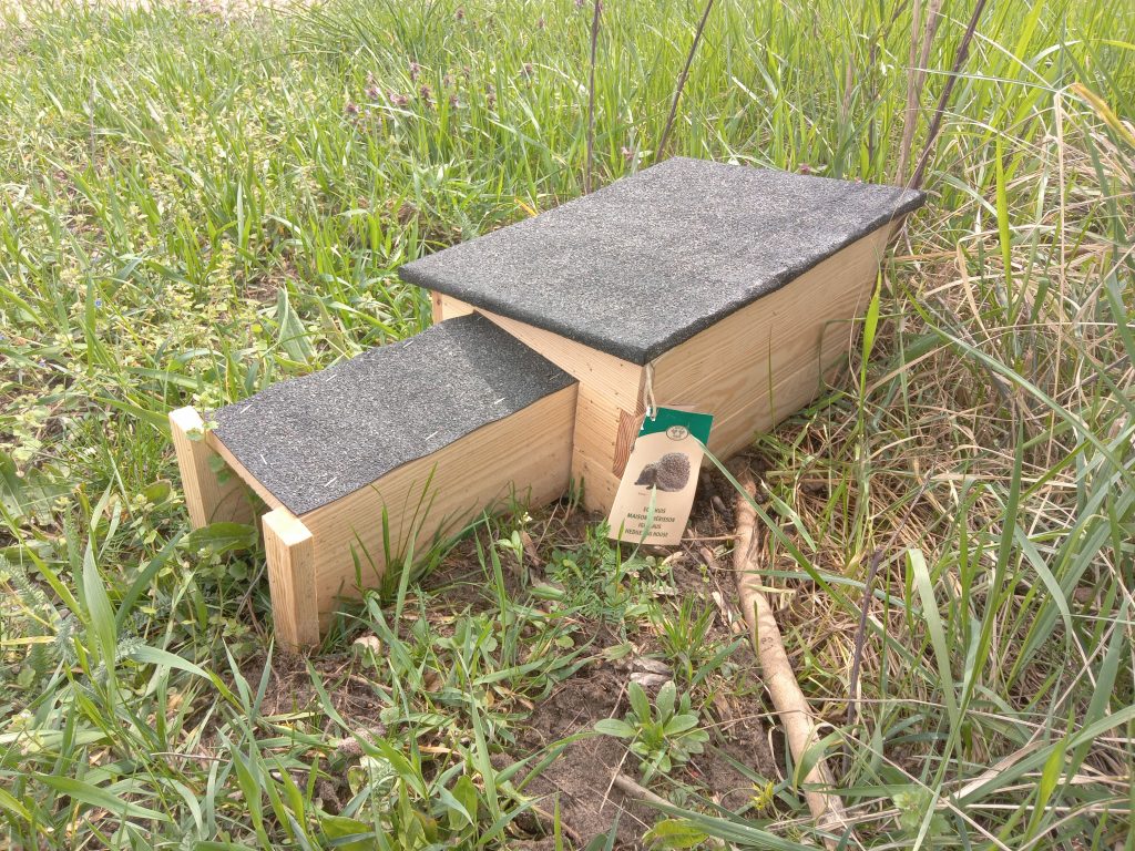 Jeże są nie tylko sympatyczne, ale i pomocne w zwalczaniu ogrodowych szkodników roślin, m.in. ślimaków. Zbudujmy więc im dom