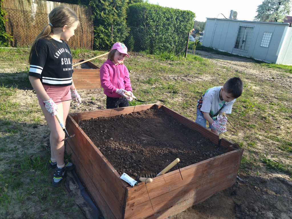 Uprawa warzyw w skrzyniach to wspaniała sprawa. Nie atakują je chwasty, wszystko wygląda schludnie, a i plecy ogrodnika są wdzięczne za tak miłe ułatwienie.