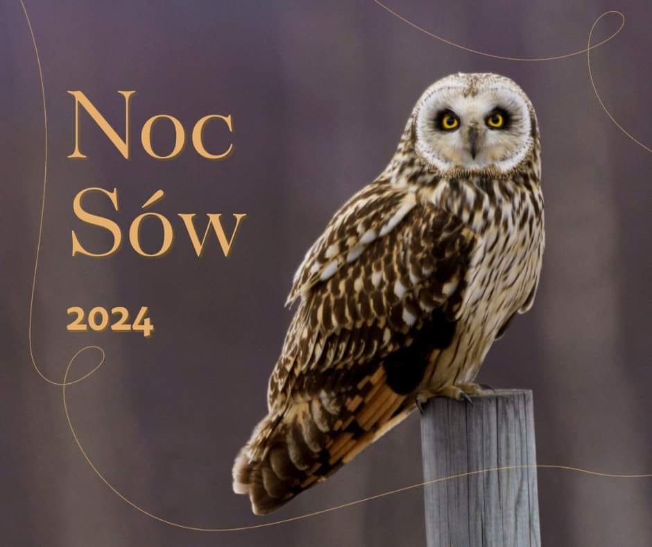 Noc sów 2024 - 23.02.2024