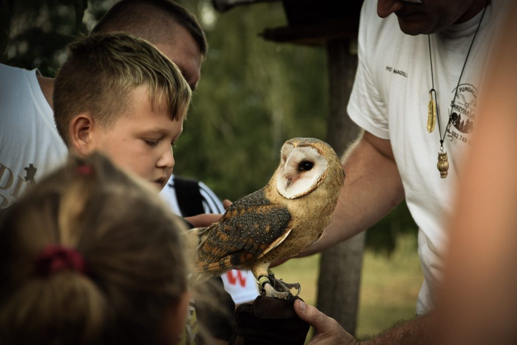 Nie co dzień mamy okazję dotknąć ptaka. Może naszą papużkę w klatce, ale nie sowę, czy jastrzębia. Dlatego wizyta pana od ptaków z jego trzema podopiecznymi była prawdziwą rewelacją.